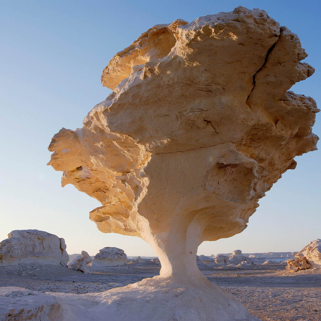 Black and White Desert